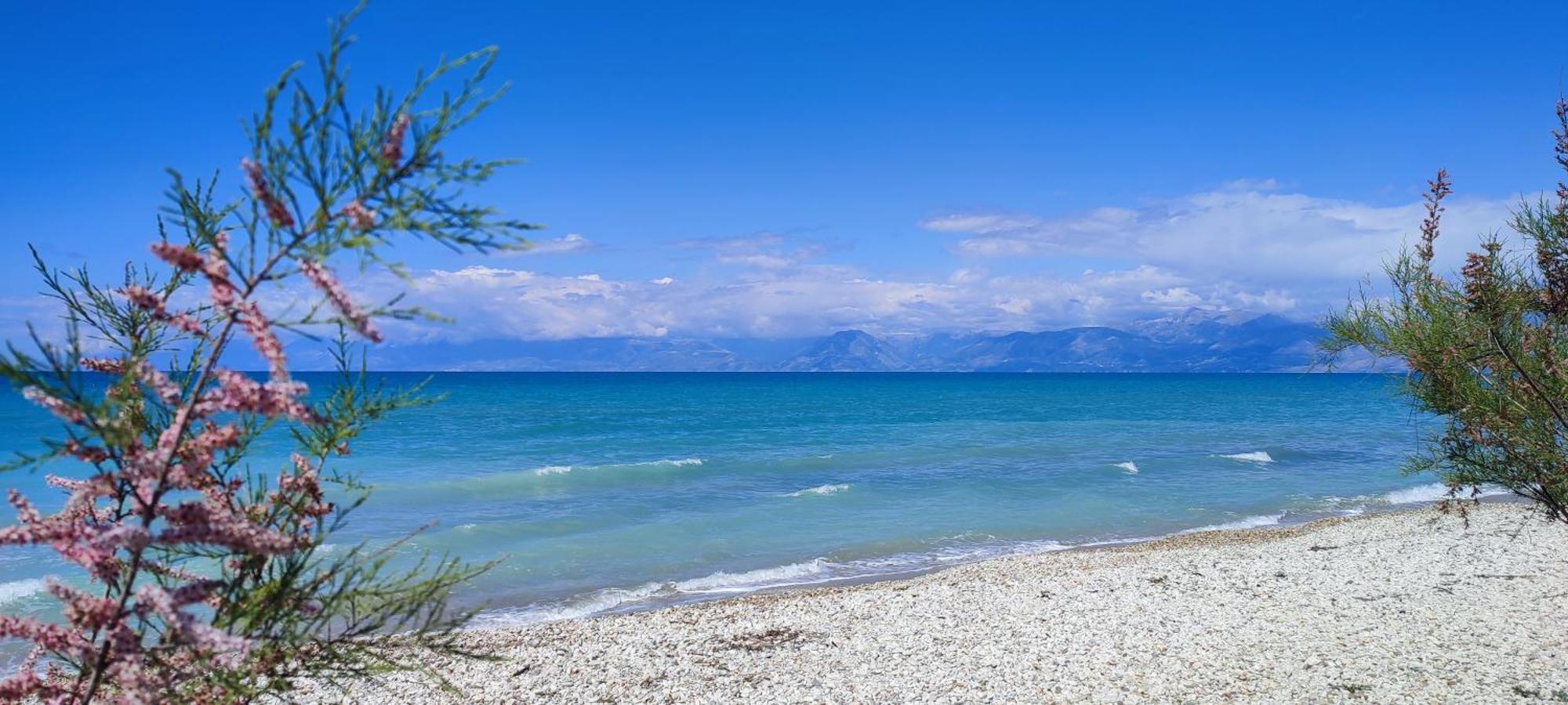 Agapi Studio Acharavi A 50M De La Mer, 400M Du Centre Ville ภายนอก รูปภาพ