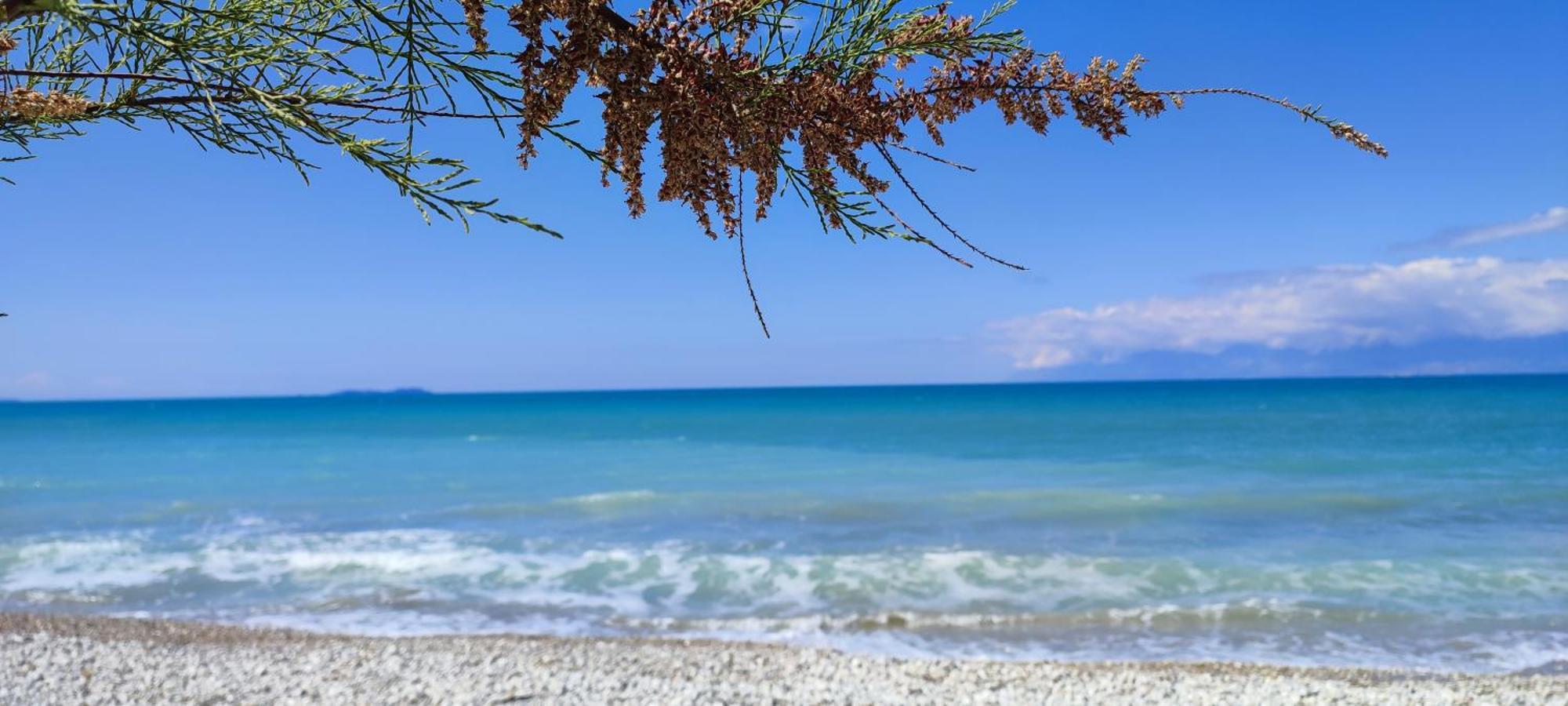 Agapi Studio Acharavi A 50M De La Mer, 400M Du Centre Ville ภายนอก รูปภาพ
